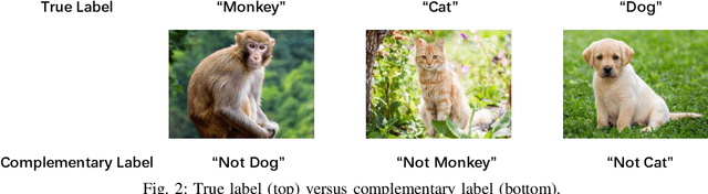 Figure 2 for Learning from a Complementary-label Source Domain: Theory and Algorithms