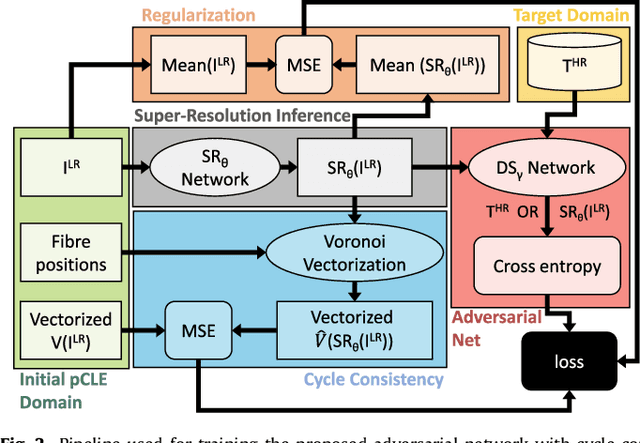 Figure 3 for Adversarial training with cycle consistency for unsupervised super-resolution in endomicroscopy