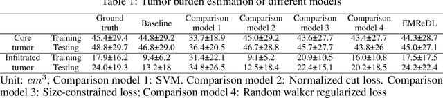 Figure 2 for Expectation-Maximization Regularized Deep Learning for Weakly Supervised Tumor Segmentation for Glioblastoma
