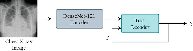 Figure 3 for RATCHET: Medical Transformer for Chest X-ray Diagnosis and Reporting