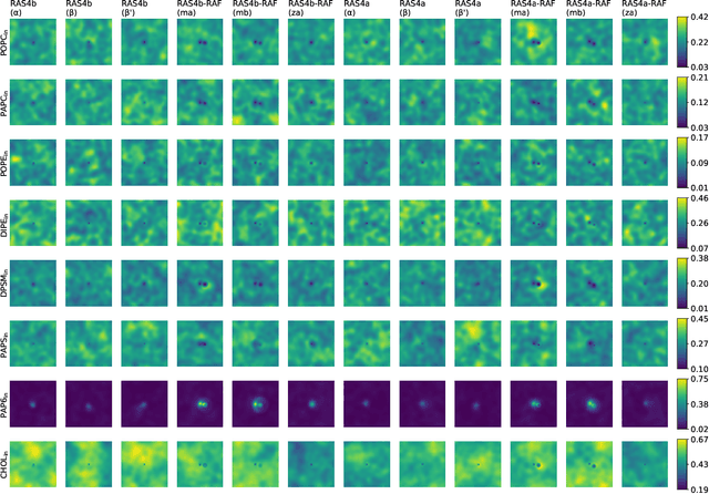Figure 3 for Emerging Patterns in the Continuum Representation of Protein-Lipid Fingerprints