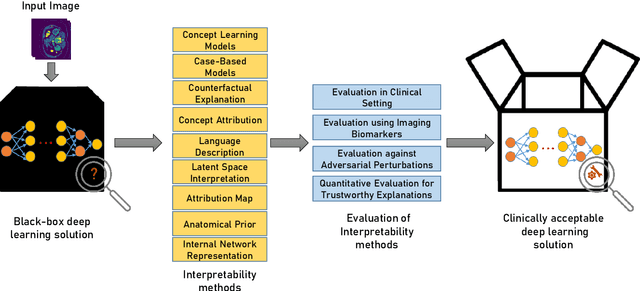 Figure 1 for Transparency of Deep Neural Networks for Medical Image Analysis: A Review of Interpretability Methods