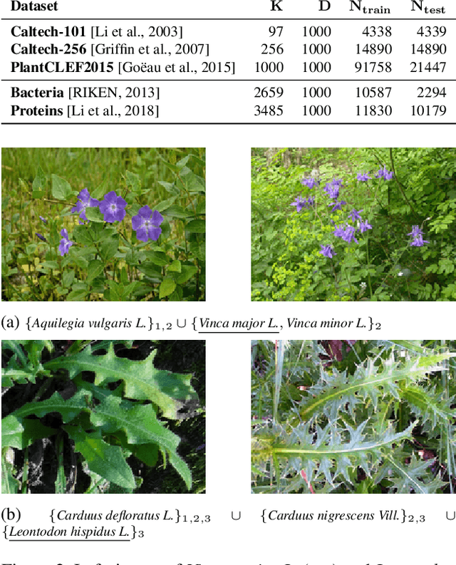 Figure 2 for Set-valued prediction in hierarchical classification with constrained representation complexity