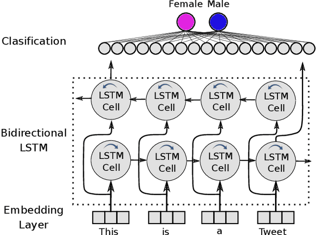 Figure 1 for Gender Recognition in Informal and Formal Language Scenarios via Transfer Learning