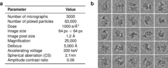 Figure 4 for Inferring a Continuous Distribution of Atom Coordinates from Cryo-EM Images using VAEs