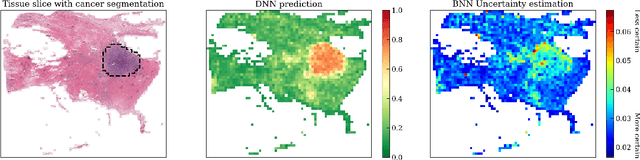 Figure 1 for Explaining Bayesian Neural Networks
