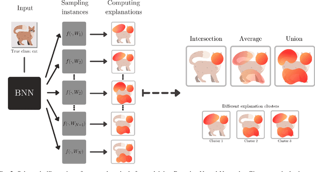 Figure 2 for Explaining Bayesian Neural Networks