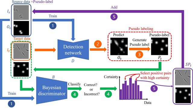 Figure 3 for Cell Detection in Domain Shift Problem Using Pseudo-Cell-Position Heatmap
