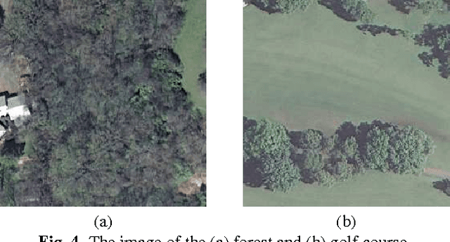 Figure 4 for High Order Structure Descriptors for Scene Images
