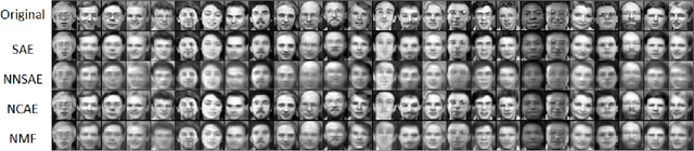 Figure 2 for Deep Learning of Part-based Representation of Data Using Sparse Autoencoders with Nonnegativity Constraints