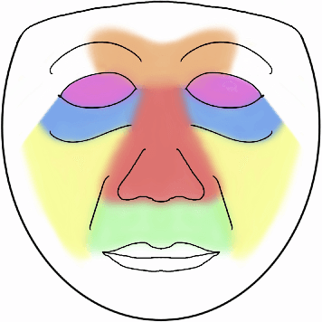 Figure 1 for Unobtrusive Pain Monitoring in Older Adults with Dementia using Pairwise and Contrastive Training