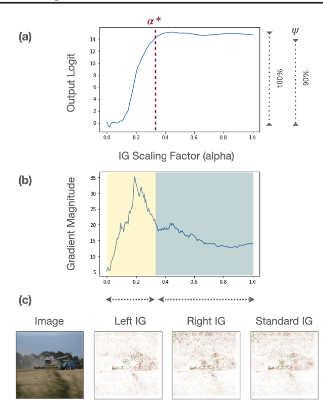 Figure 1 for Investigating Saturation Effects in Integrated Gradients