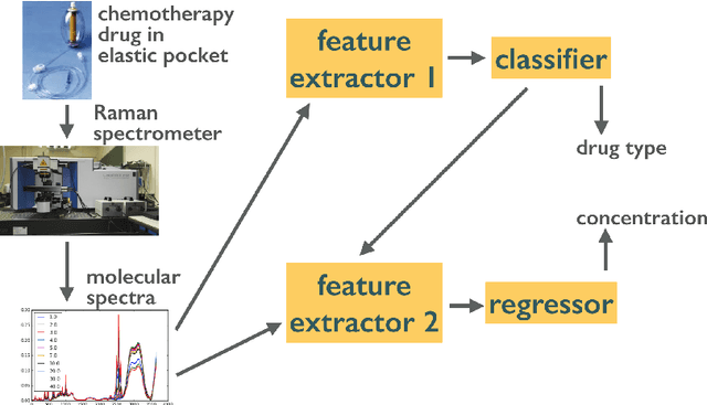 Figure 1 for Machine learning for classification and quantification of monoclonal antibody preparations for cancer therapy