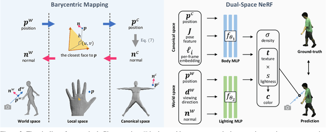 Figure 3 for Dual-Space NeRF: Learning Animatable Avatars and Scene Lighting in Separate Spaces