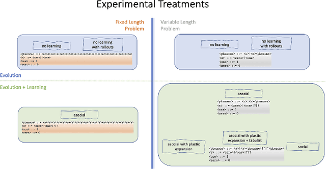 Figure 3 for An exploration of asocial and social learning in the evolution of variable-length structures