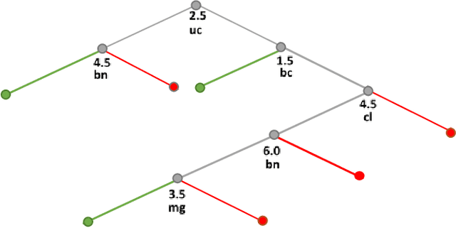 Figure 1 for Visualization of Decision Trees based on General Line Coordinates to Support Explainable Models
