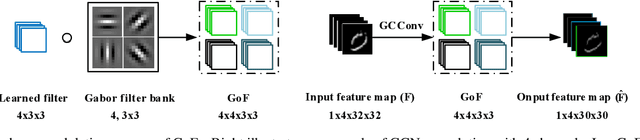 Figure 3 for Gabor Convolutional Networks