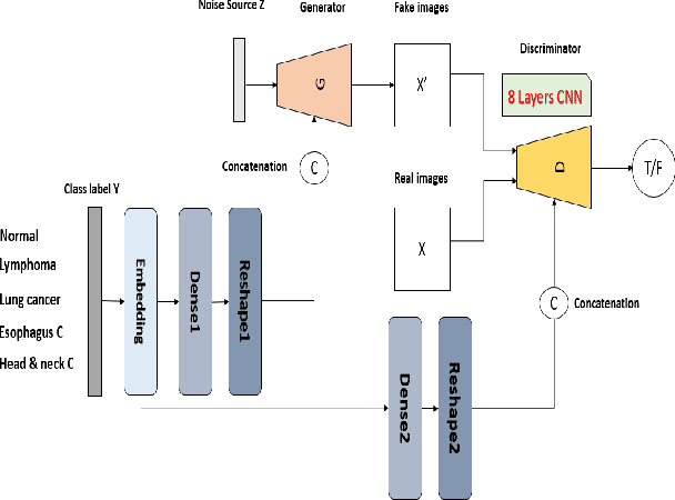 Figure 3 for RADIOGAN: Deep Convolutional Conditional Generative adversarial Network To Generate PET Images