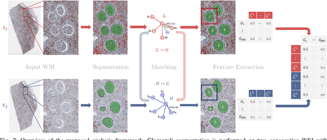 Figure 4 for An automatic framework to study the tissue micro-environment of renal glomeruli in differently stained consecutive digital whole slide images