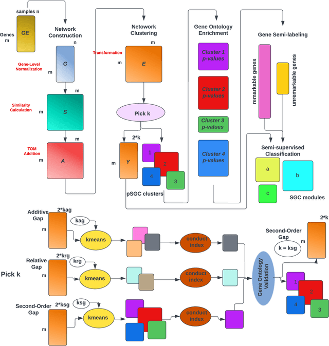 Figure 1 for SGC: A semi-supervised pipeline for gene clustering using self-training approach in gene co-expression networks