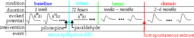 Figure 1 for Decoding Epileptogenesis in a Reduced State Space
