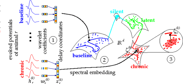 Figure 2 for Decoding Epileptogenesis in a Reduced State Space