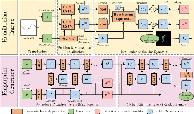 Figure 1 for HamNet: Conformation-Guided Molecular Representation with Hamiltonian Neural Networks