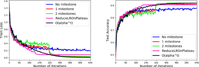 Figure 4 for Exponential Step Sizes for Non-Convex Optimization