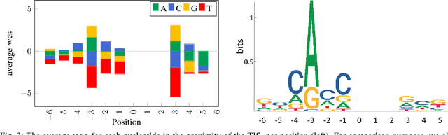Figure 3 for Interpretable Convolutional Neural Networks for Effective Translation Initiation Site Prediction