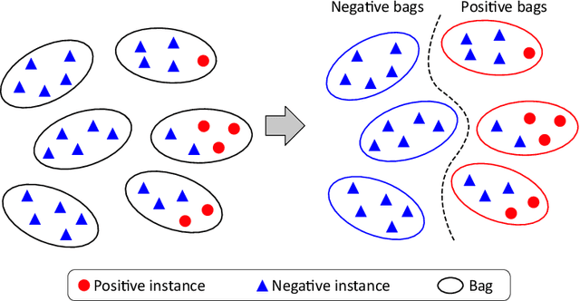 Figure 3 for Multi-scale domain-adversarial multiple-instance CNN for cancer subtype classification with non-annotated histopathological images