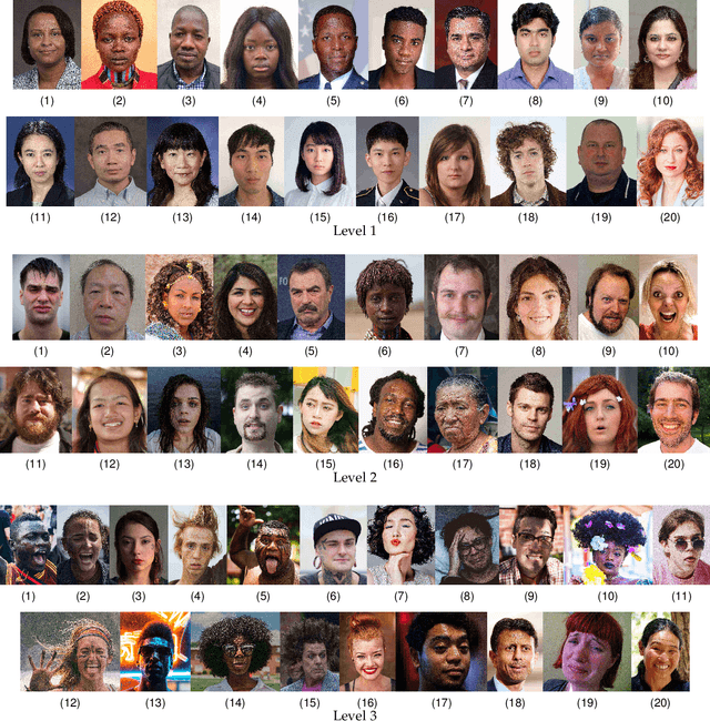 Figure 2 for NPRportrait 1.0: A Three-Level Benchmark for Non-Photorealistic Rendering of Portraits