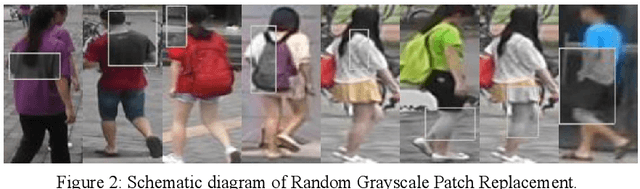 Figure 3 for A Person Re-identification Data Augmentation Method with Adversarial Defense Effect