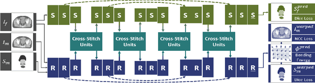 Figure 3 for A Cross-Stitch Architecture for Joint Registration and Segmentation in Adaptive Radiotherapy