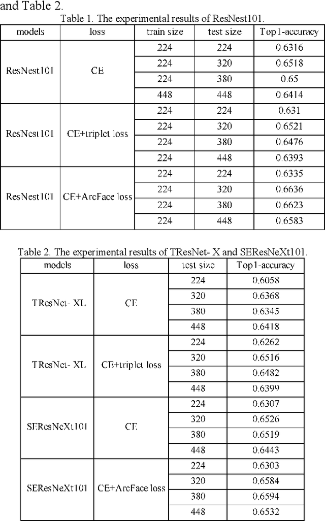 Figure 2 for A Technical Report for VIPriors Image Classification Challenge