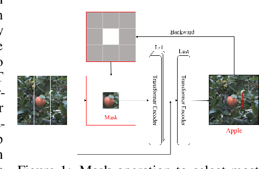 Figure 1 for Mask-guided Vision Transformer for Few-Shot Learning