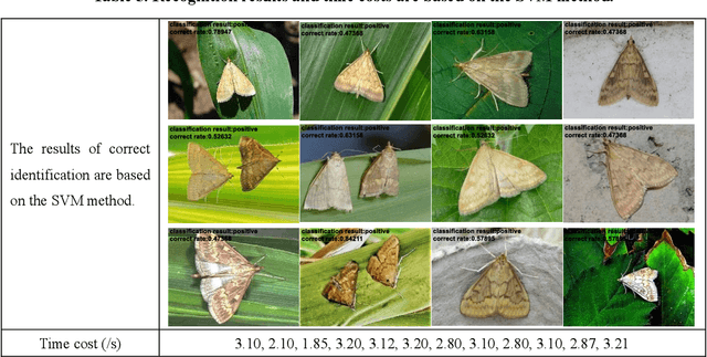 Figure 3 for Recognition of Pyralidae Insects Using Intelligent Monitoring Autonomous Robot Vehicle in Natural Farm Scene