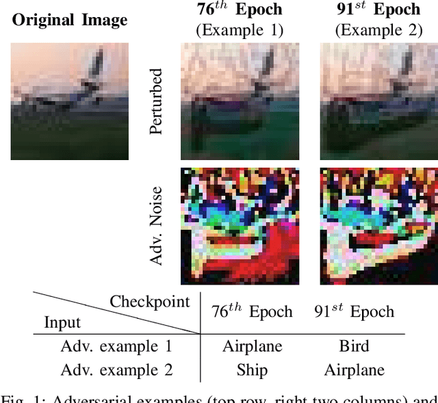 Figure 1 for Dual Head Adversarial Training