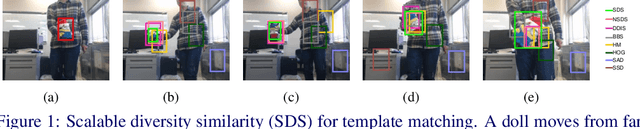 Figure 1 for Multi-scale Template Matching with Scalable Diversity Similarity in an Unconstrained Environment
