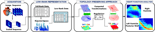 Figure 1 for Robust Cardiac Motion Estimation using Ultrafast Ultrasound Data: A Low-Rank-Topology-Preserving Approach
