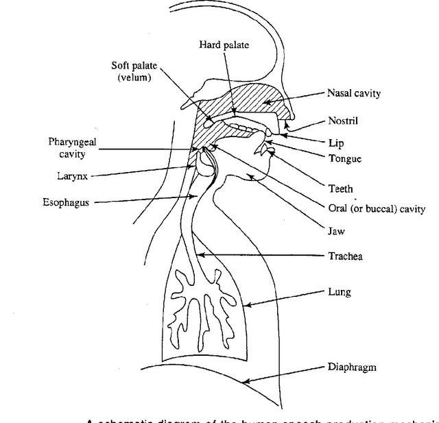 Figure 3 for Luganda Text-to-Speech Machine