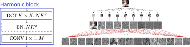 Figure 1 for Harmonic Convolutional Networks based on Discrete Cosine Transform