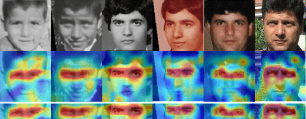 Figure 1 for Beyond Disentangled Representations: An Attentive Angular Distillation Approach to Large-scale Lightweight Age-Invariant Face Recognition
