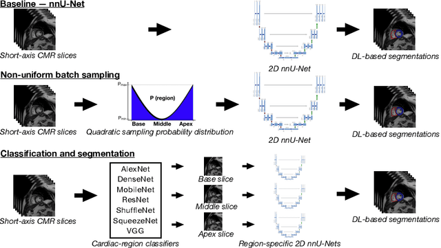 Figure 1 for Improved AI-based segmentation of apical and basal slices from clinical cine CMR