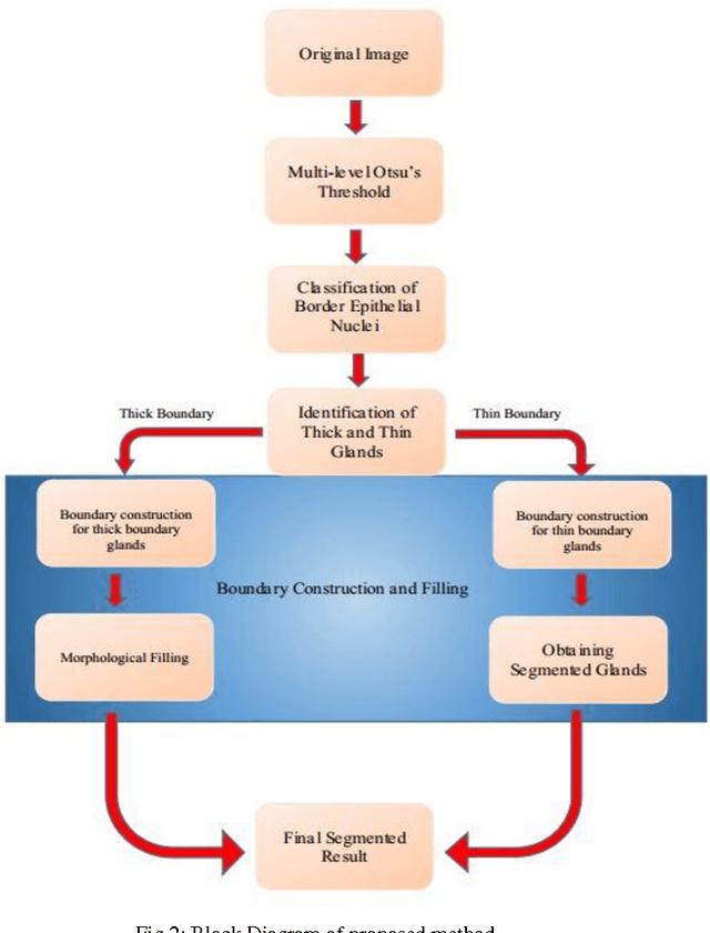 Figure 2 for Gland Segmentation in Histopathology Images Using Random Forest Guided Boundary Construction
