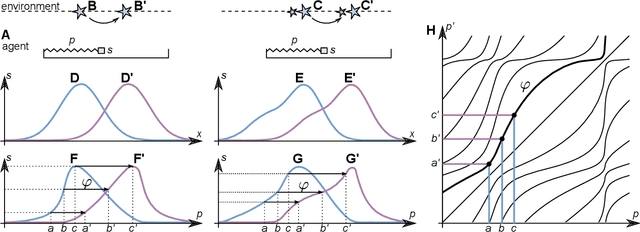Figure 1 for Learning abstract perceptual notions: the example of space