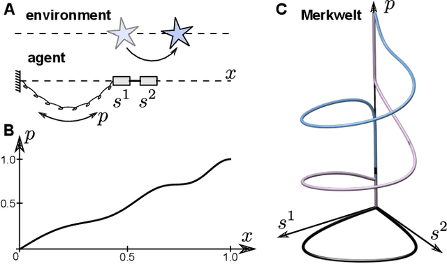 Figure 2 for Learning abstract perceptual notions: the example of space
