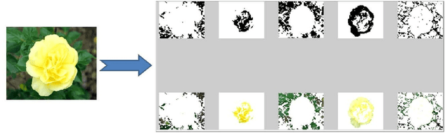 Figure 1 for A Hybrid Approach for Improved Content-based Image Retrieval using Segmentation