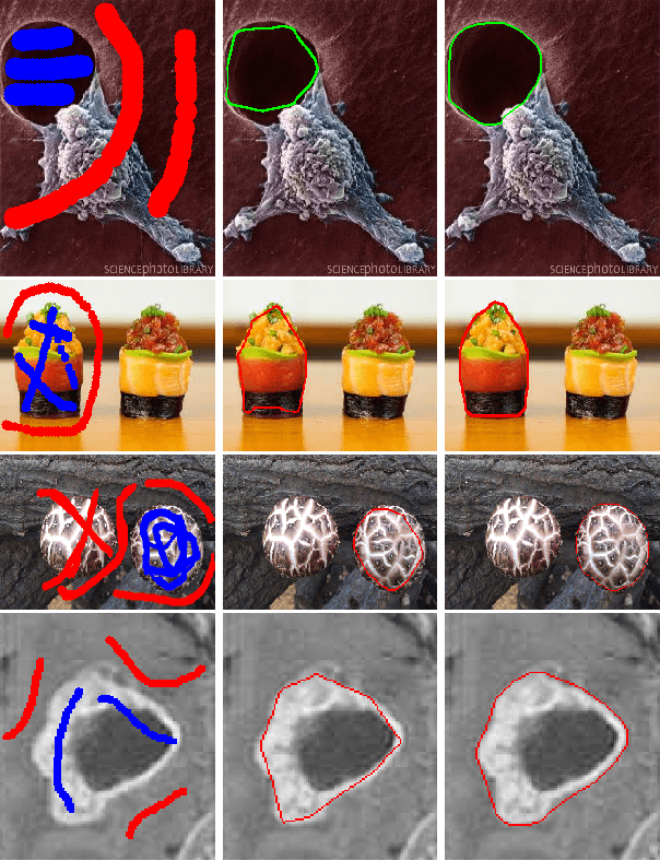 Figure 3 for Convex Shape Representation with Binary Labels for Image Segmentation: Models and Fast Algorithms
