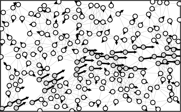 Figure 2 for Automated Lane Detection in Crowds using Proximity Graphs