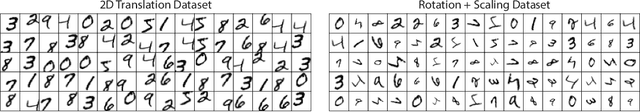Figure 1 for Disentangling images with Lie group transformations and sparse coding